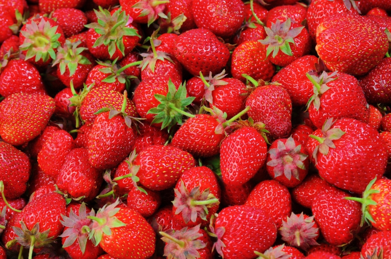 primeur-THEOULE SUR MER-min_strawberries-528791